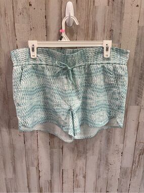 Carve Designs Light Blue Bali Surf To Sweat Shorts Quick Dry Small Beach Swim